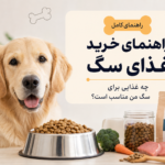 راهنمای خرید غذای سگ