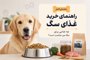 راهنمای خرید غذای سگ