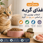 (راهنمای خرید غذای گربه)