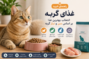 (راهنمای خرید غذای گربه)