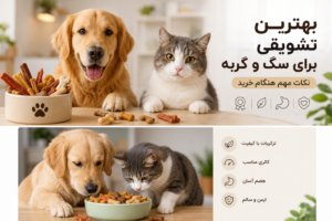 بهترین تشویقی برای سگ و گربه