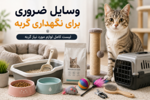 وسایل ضروری برای نگهداری گربه | لیست کامل لوازم گربه